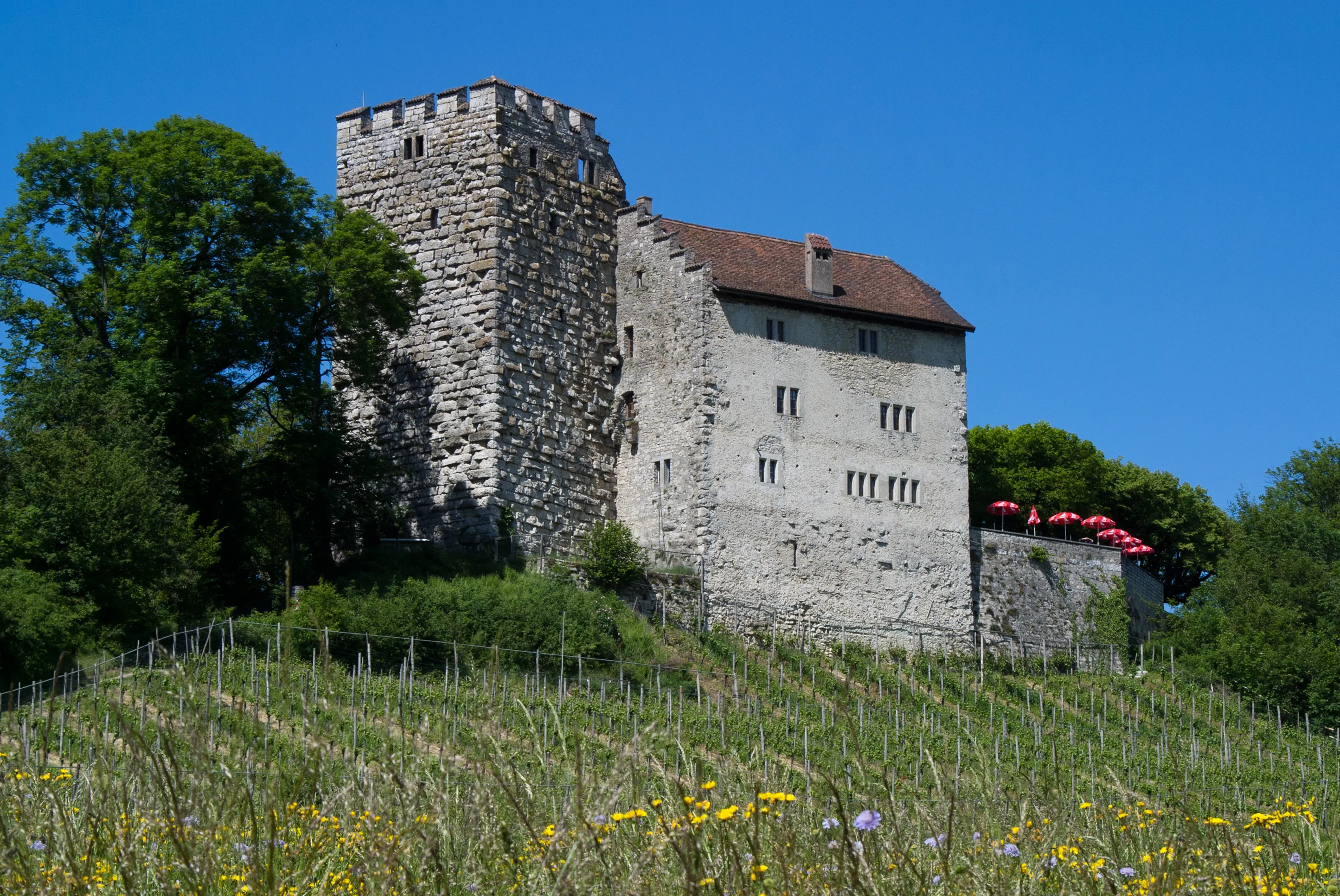Habsburg