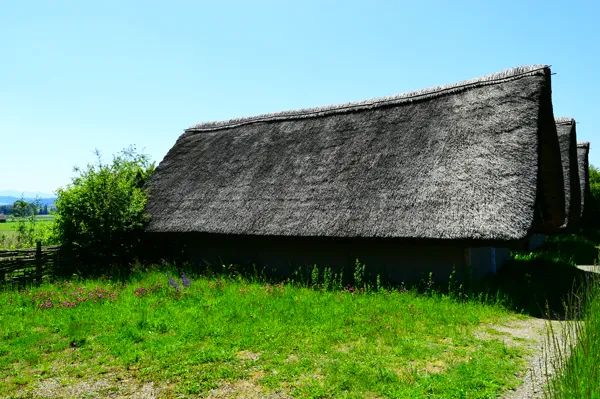Pfahlbauersiedlung Wauwil